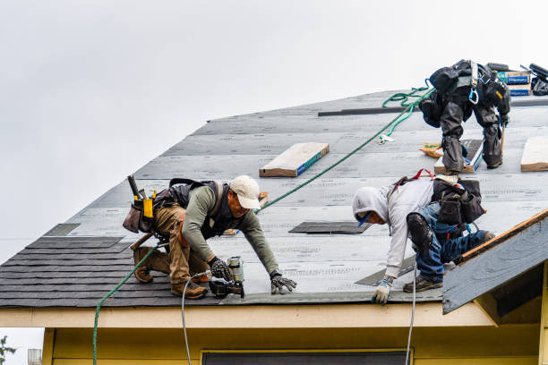 Professional Gutter Installation technician working in Louisa, VA